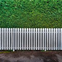 Using Cedar Hedges Reduce Street Noise for Homes in Greater Vancouver