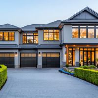 Why Root Barriers Matter When Planting Cedars Near Driveways and Walkways